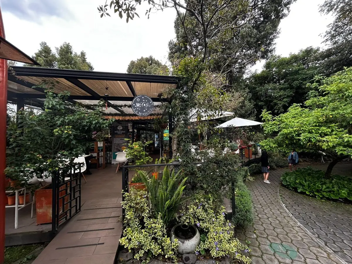 Terraza del café rodeada de jardines